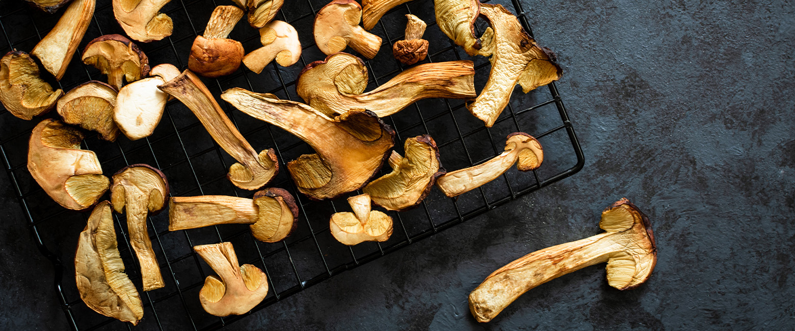 Jak ususzyć grzyby?